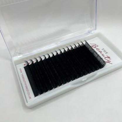 Russian Volume 0.05 D Curl Lashes ( OLD STOCK)